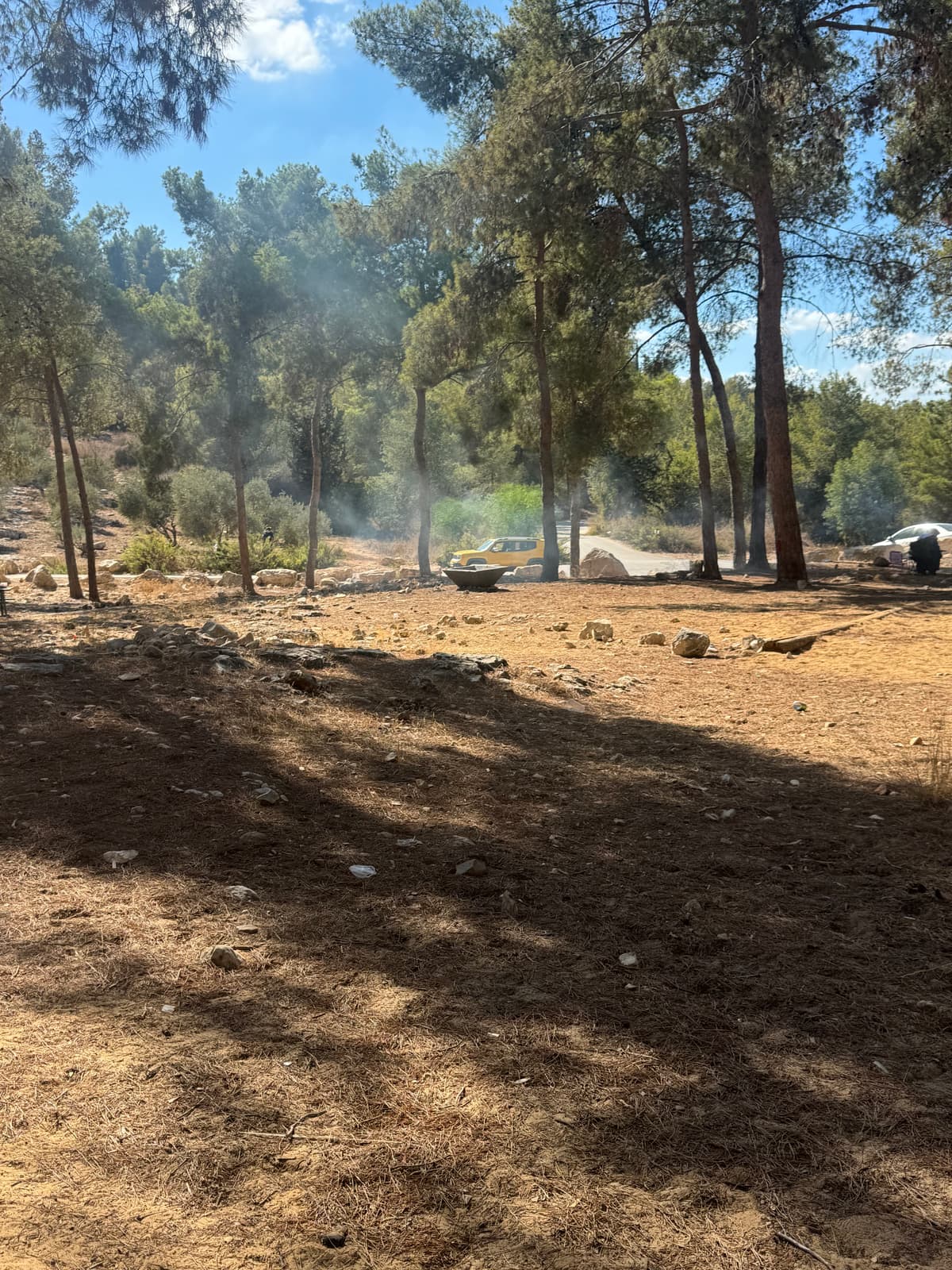 תמונת רקע - יער המגינים