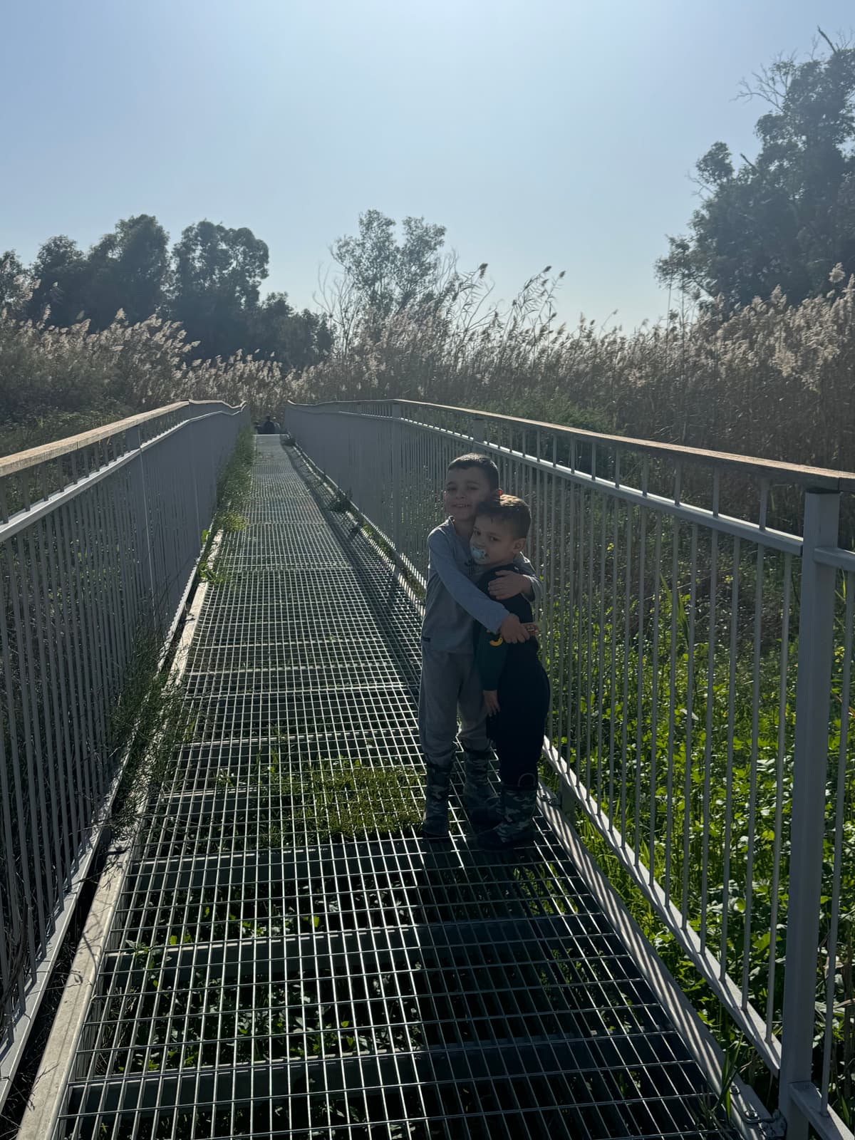 מעיינות גיבתון - צילום מהמקום