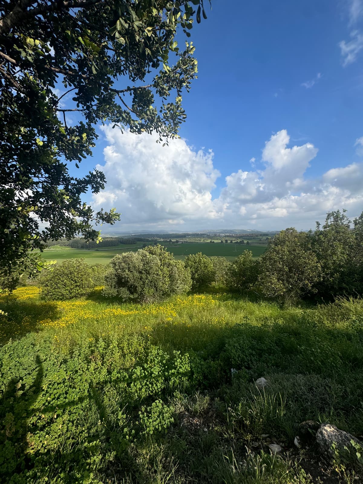 משמר דוד - צילום מהמקום
