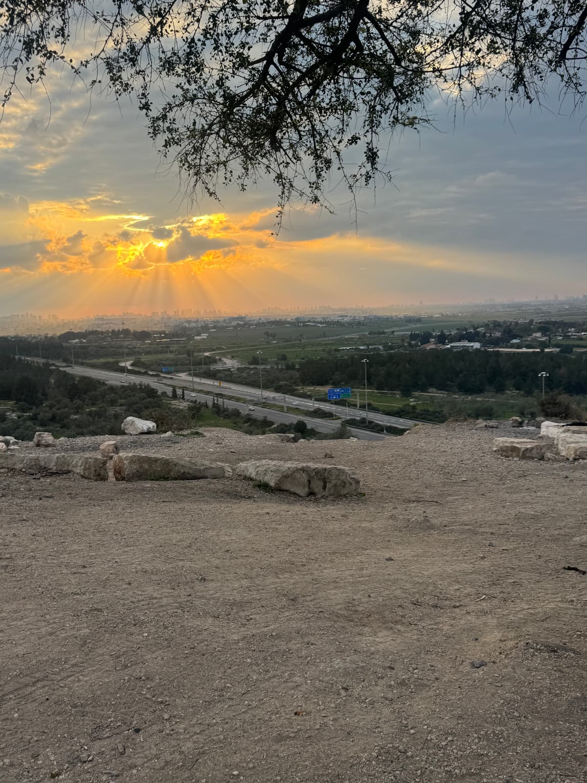 תל חדיד - צילום מהמקום
