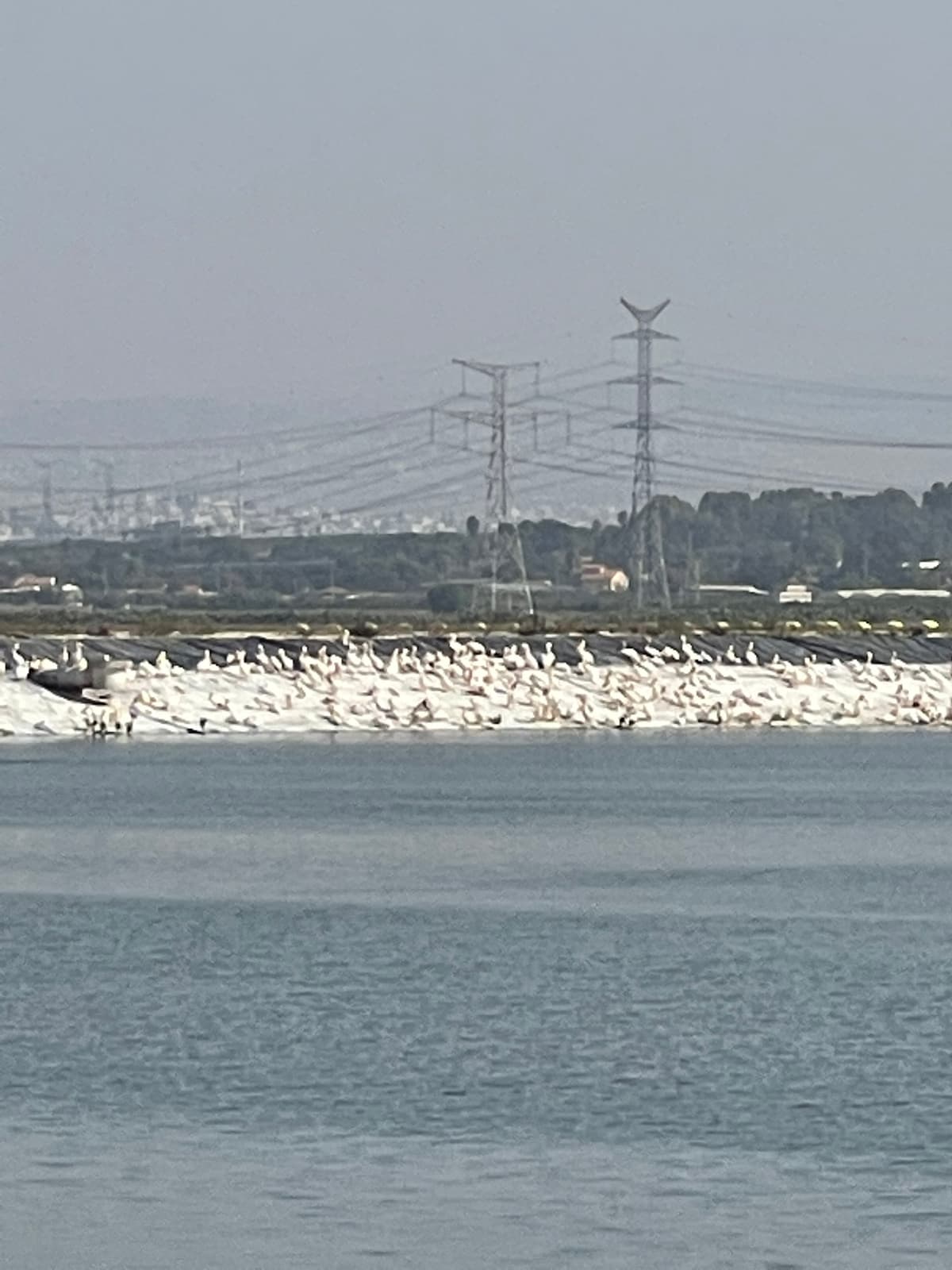 מצפור ויקר - צילום מהמקום