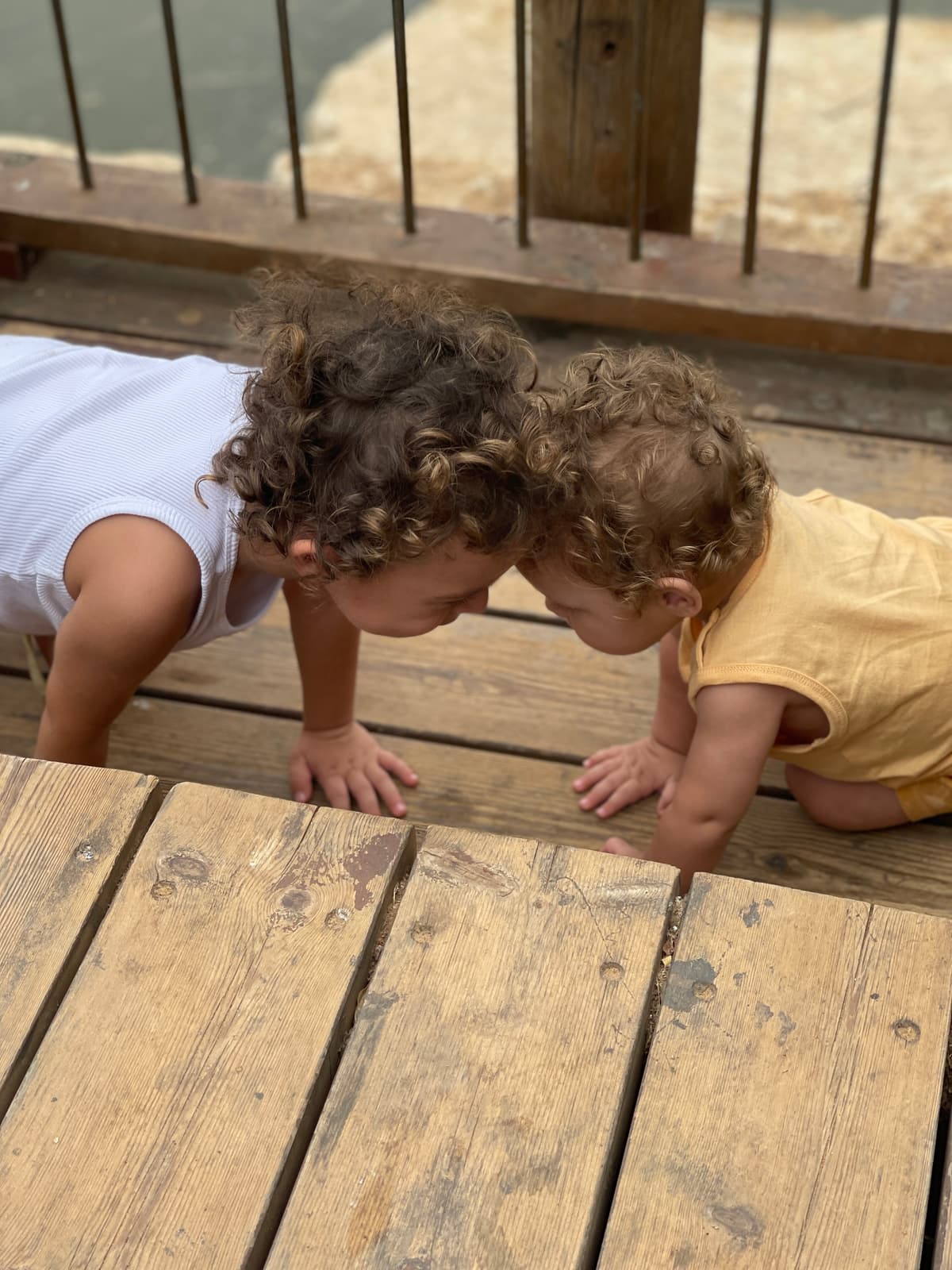 נחל אלכסנדר - צילום מהמקום