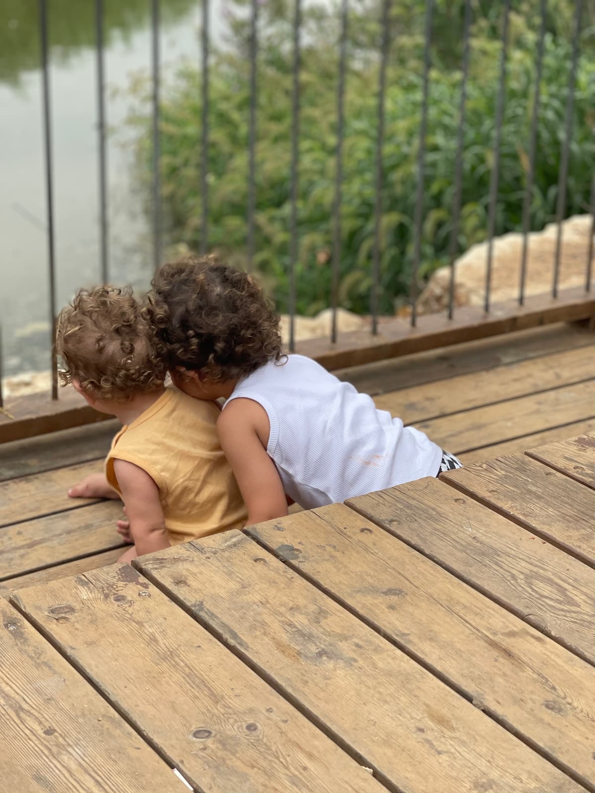 נחל אלכסנדר - צילום מהמקום