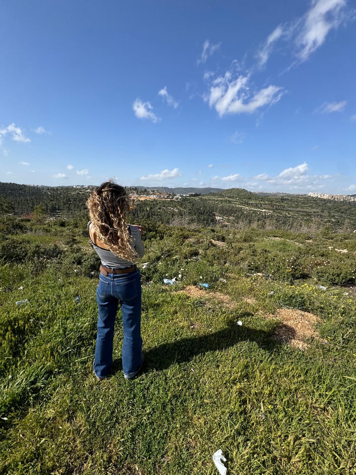הסטף - צילום מהמקום