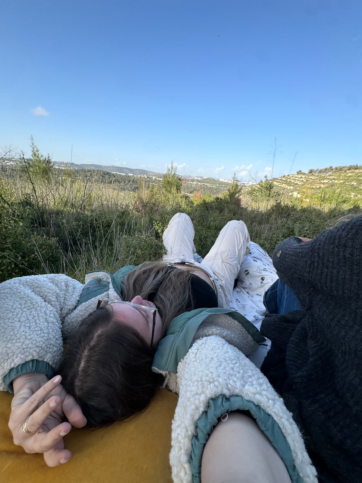 הסטף - צילום מהמקום