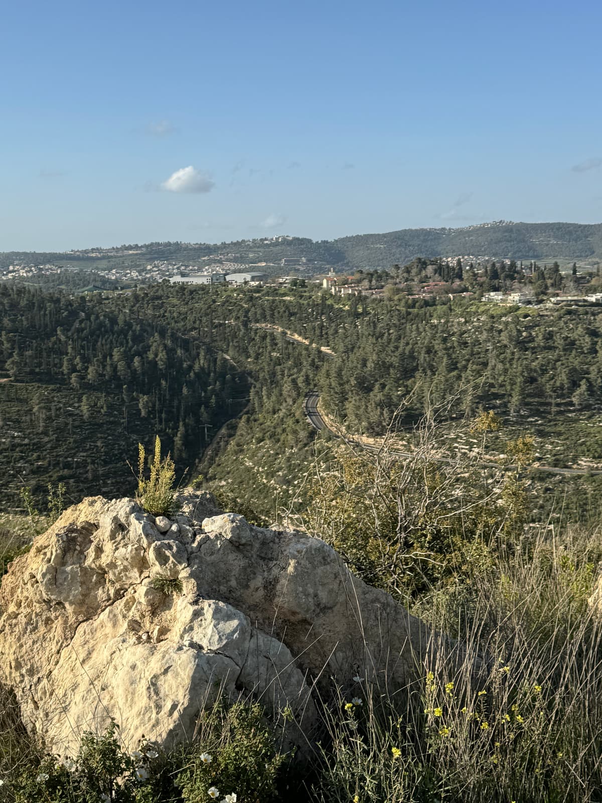 הסטף - צילום מהמקום