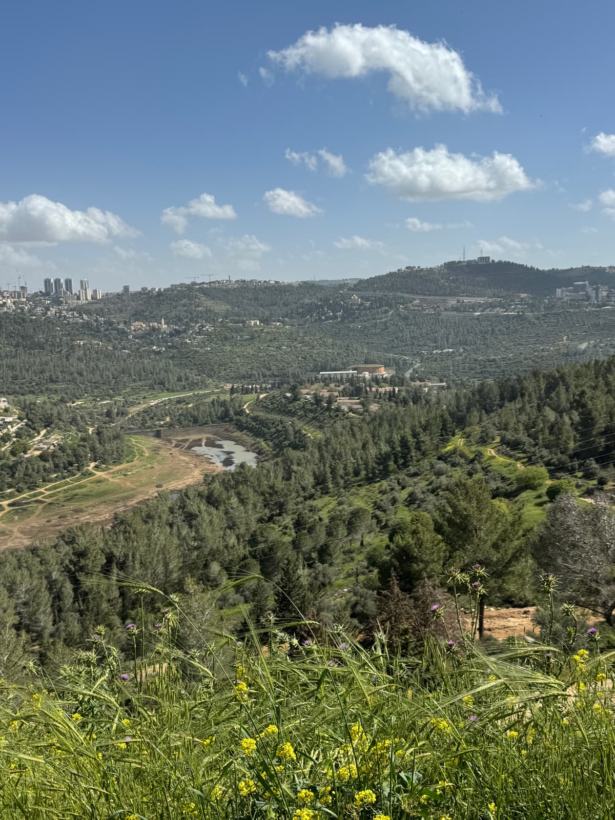 תמונת רקע - הסטף
