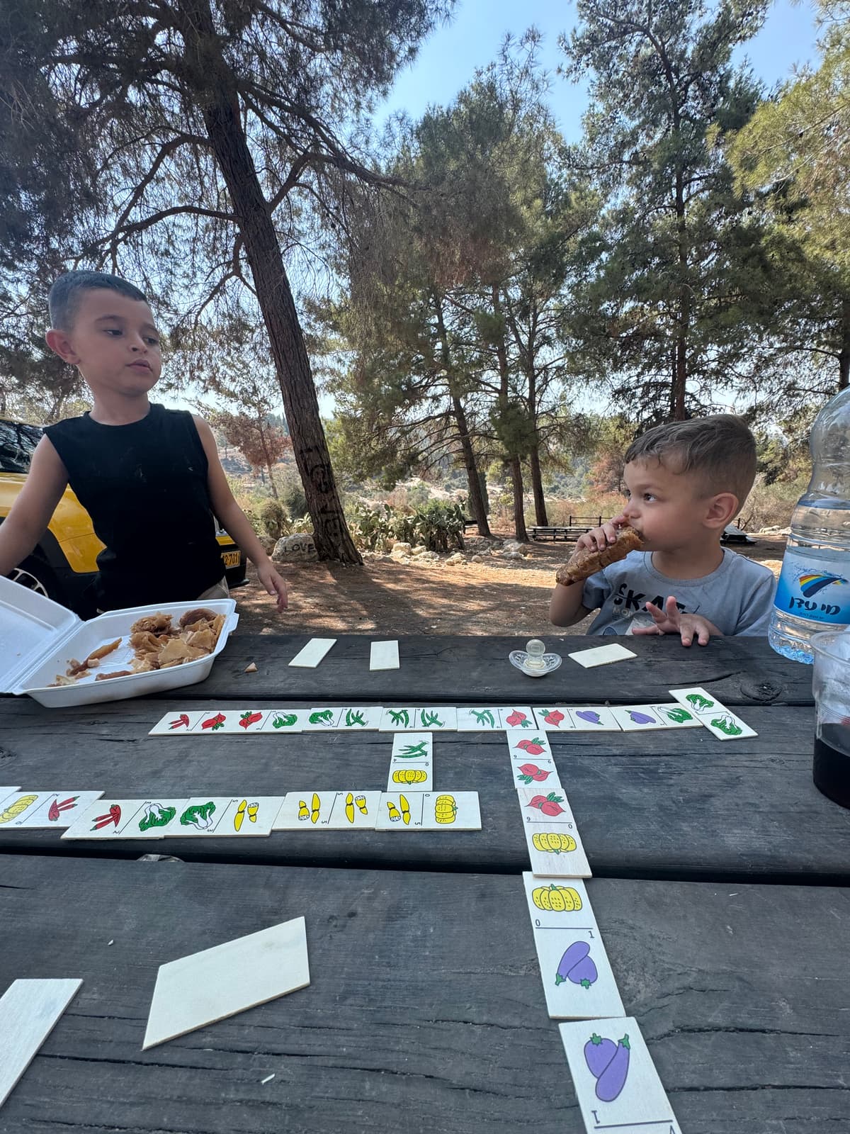 יער צרעה - צילום מהמקום