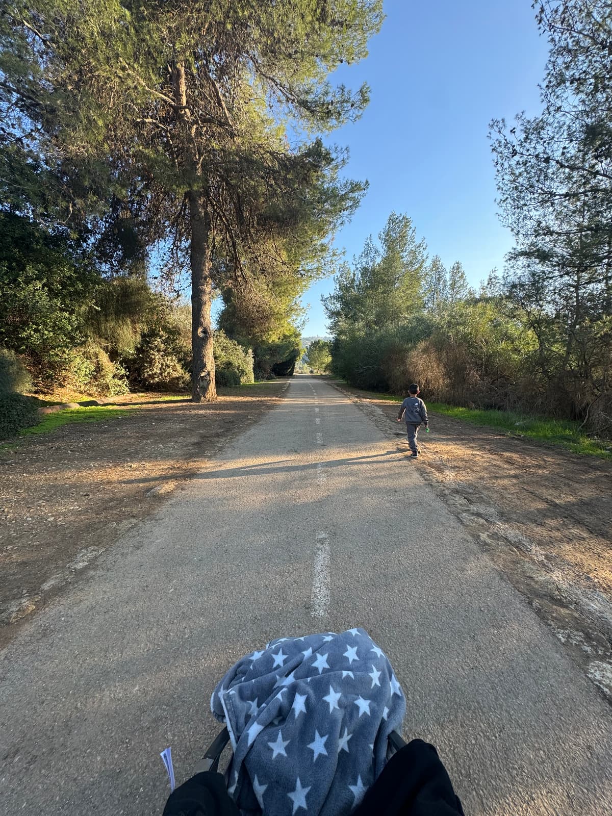 מאגר בית זית - צילום מהמקום