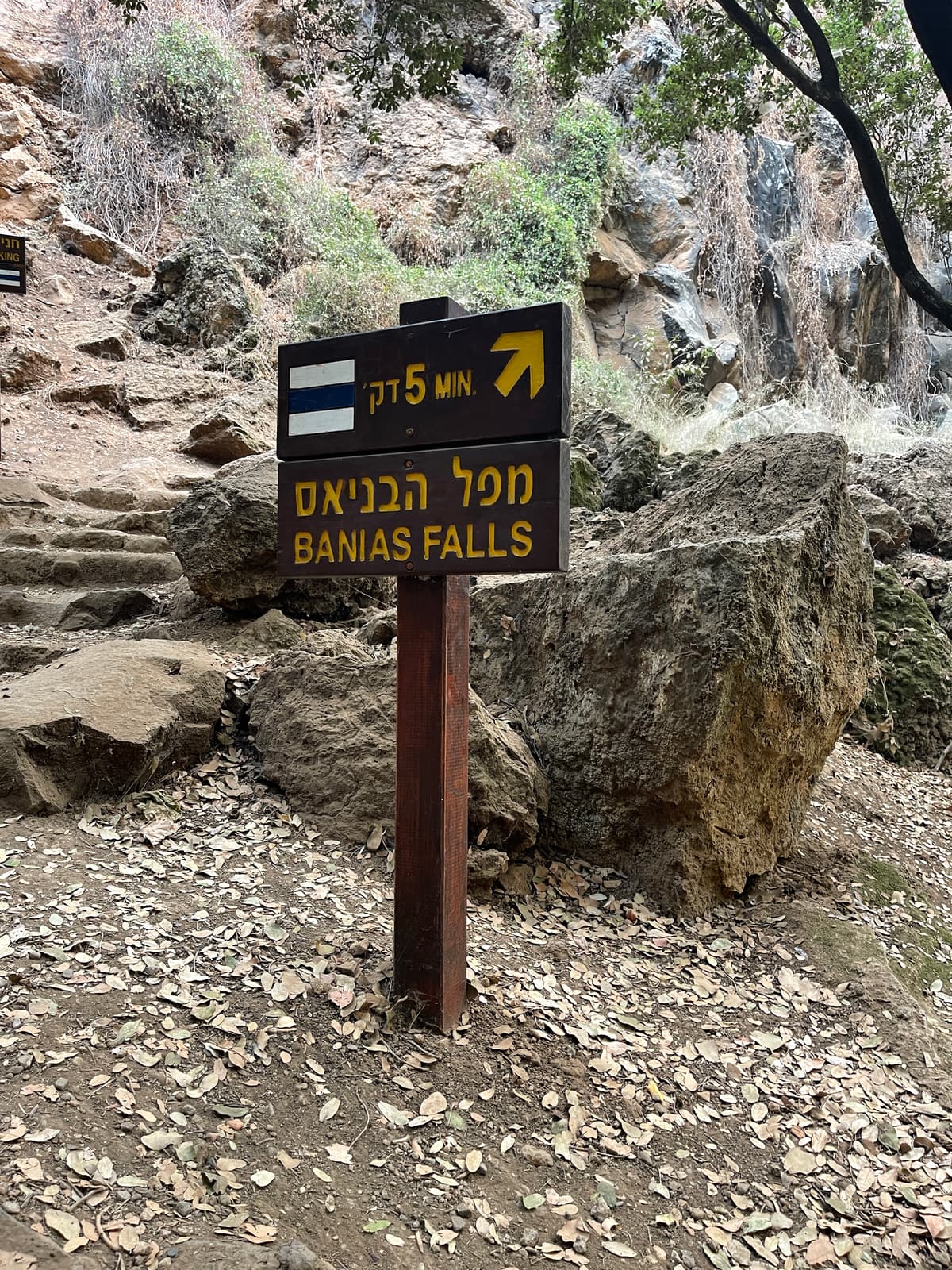 שמורת הטבע בניאס - צילום מהמקום