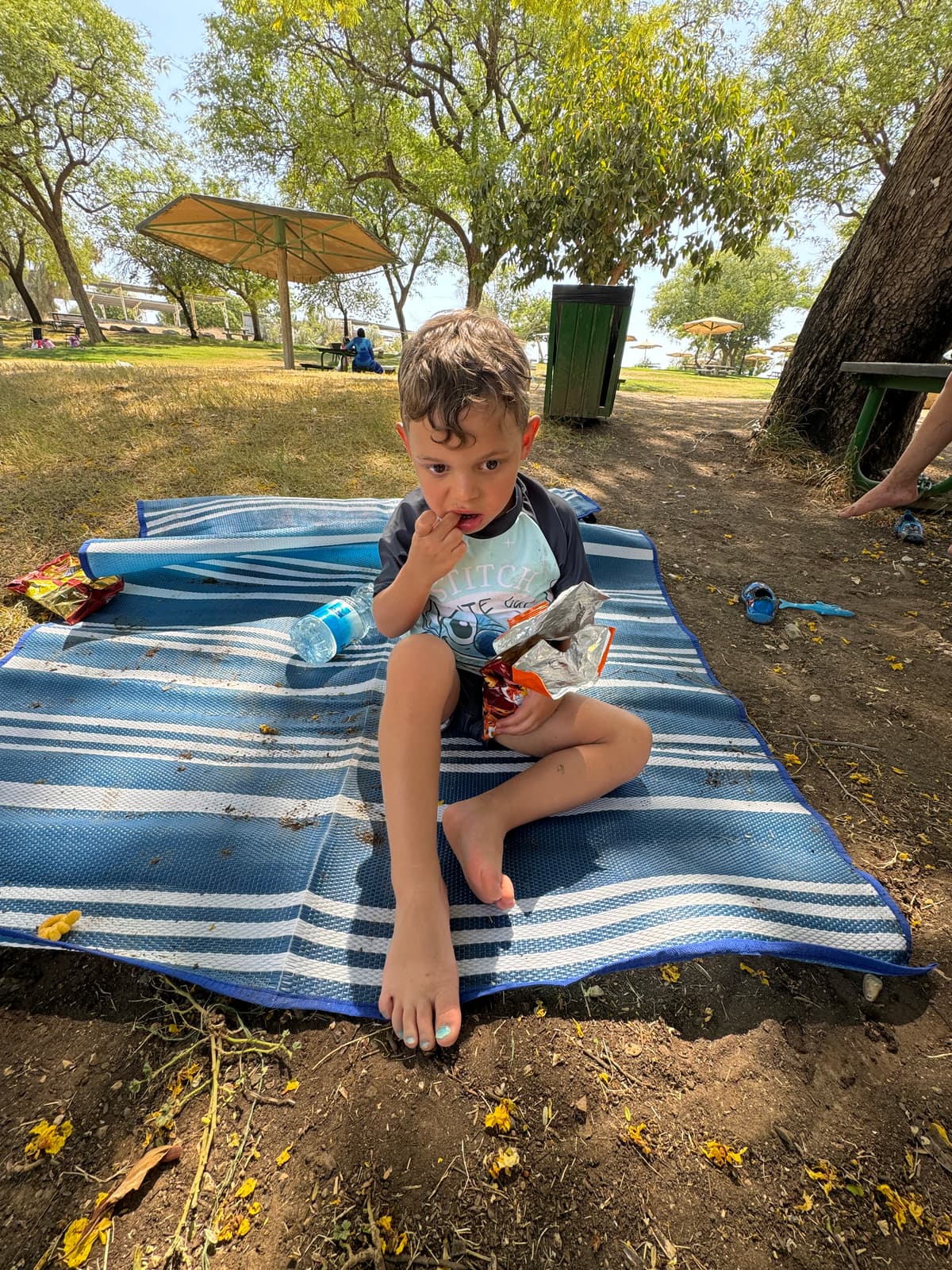 בריכות טבעיות בגני חוגה