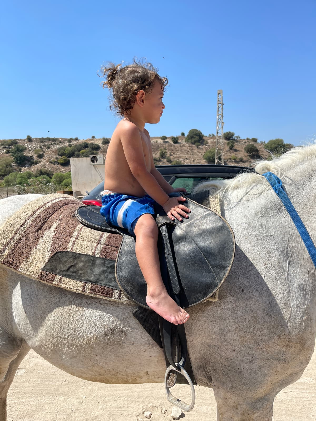 מעיין הסוסים - צילום מהמקום