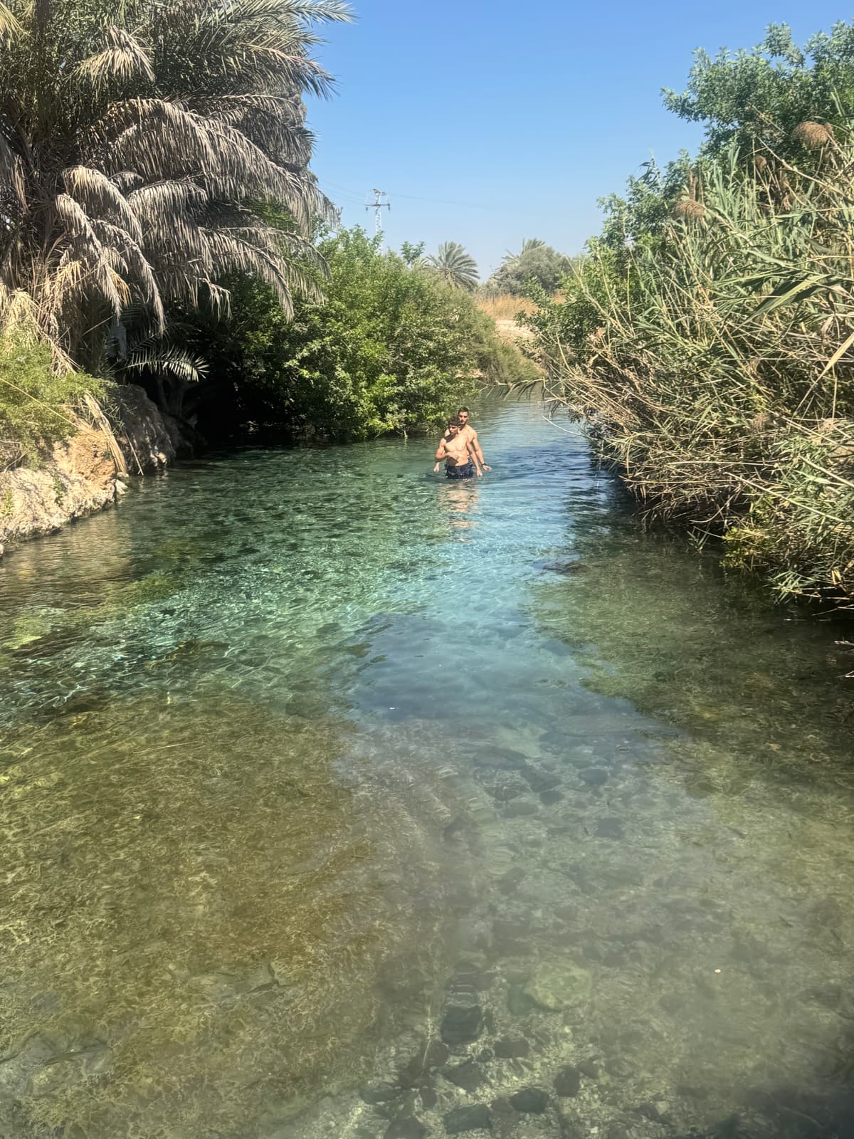 עין מגדל - הליכה במי נחל הקיבוצים הצלולים