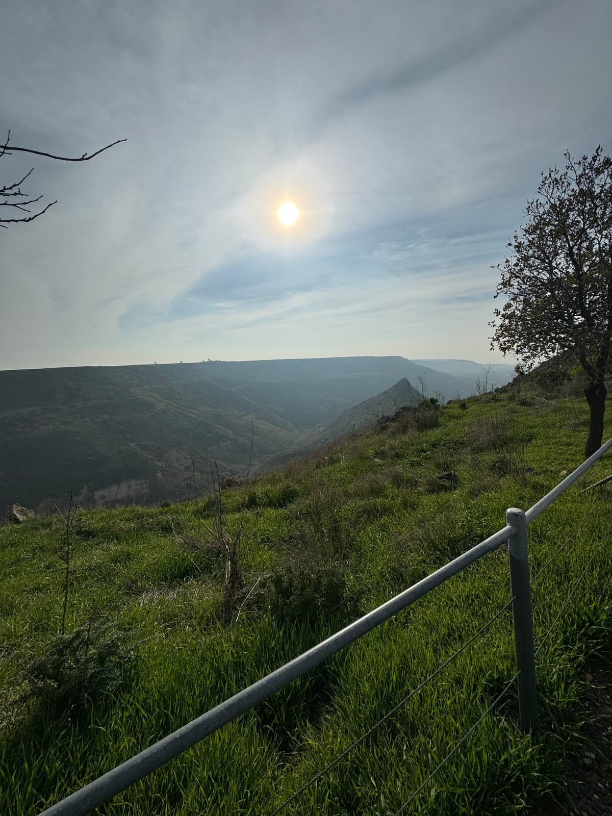 שביל הנשרים בשמורת גמלא