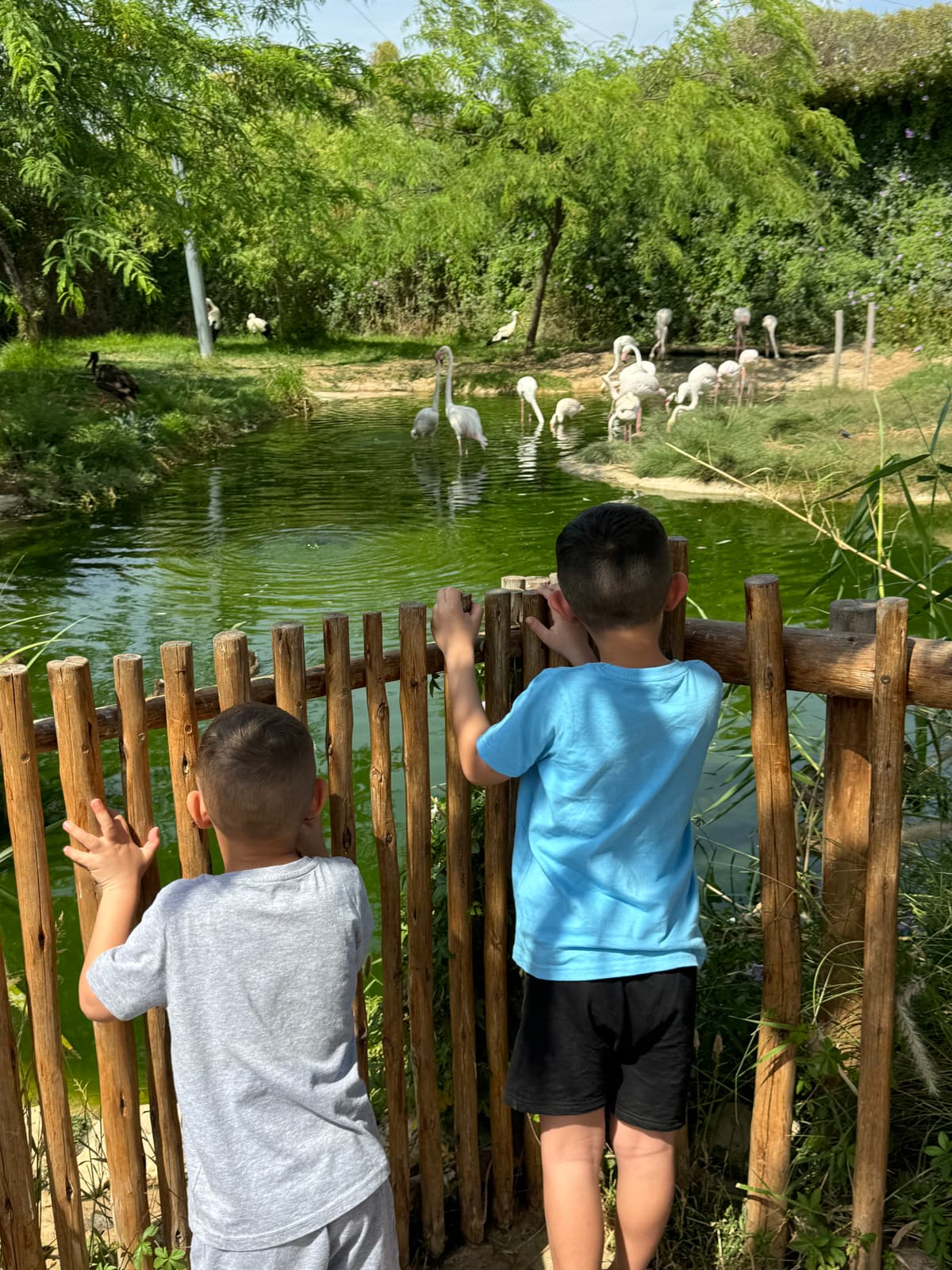 מדבריום - צילום מהמקום