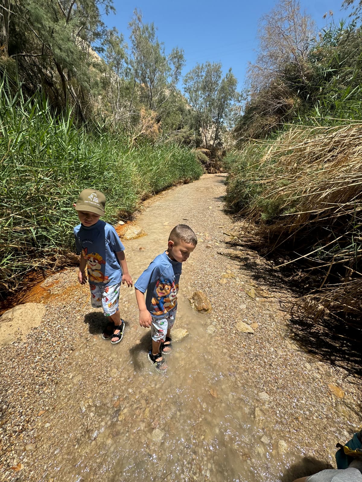 עין בוקק - צילום מהמקום