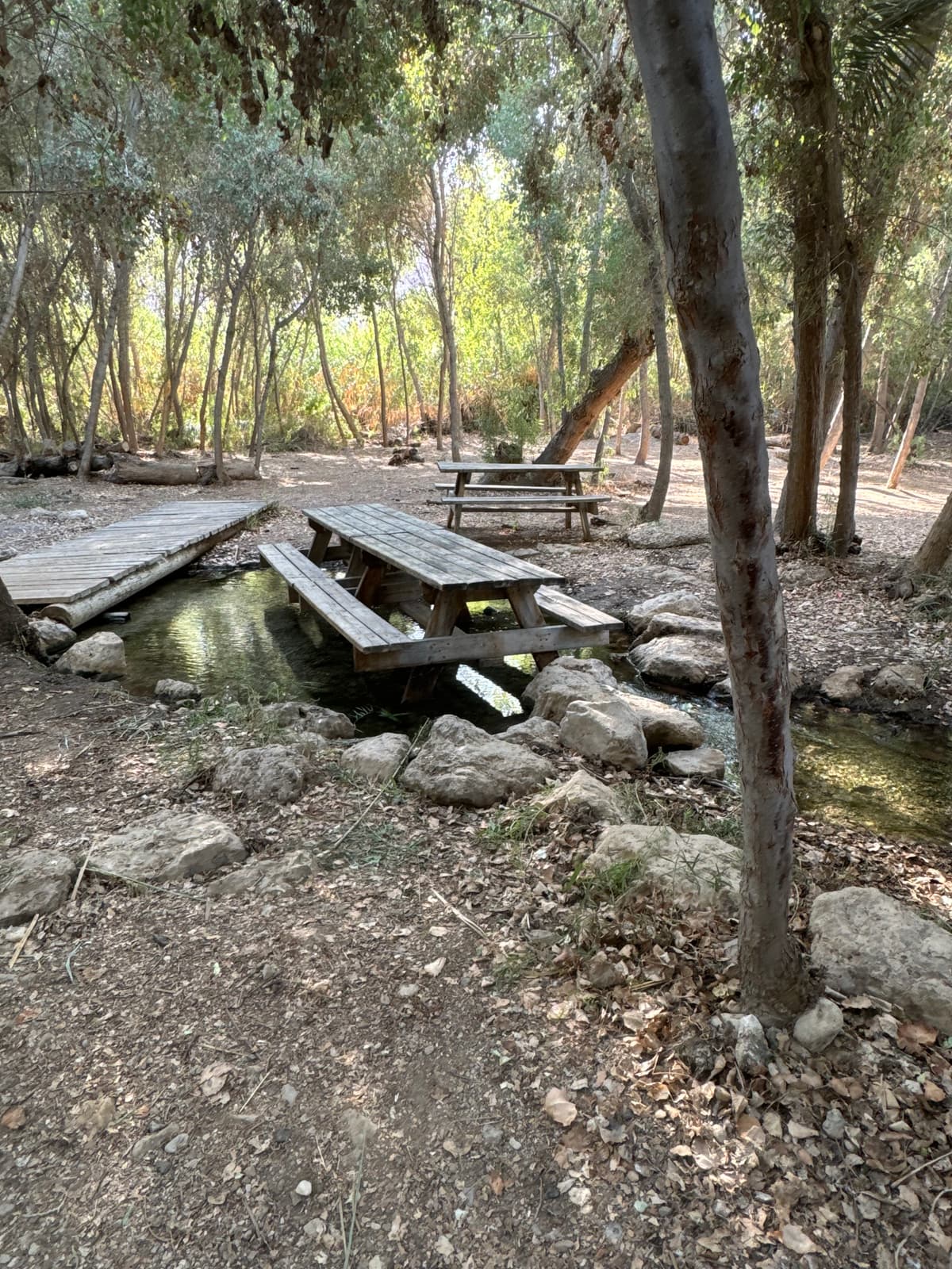 עין פאשחה עיינות צוקים - צילום מהמקום